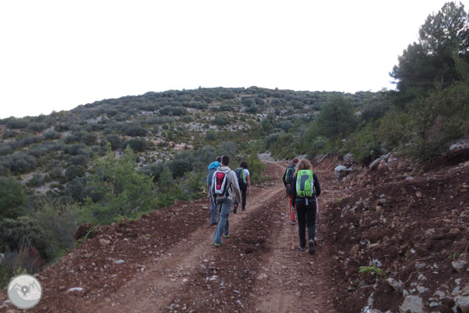 Cap de Boumort (2.077m) des d