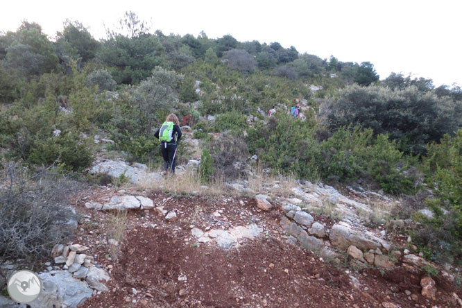 Cap de Boumort (2.077m) des d