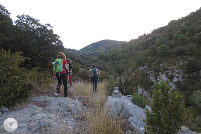 Cap de Boumort (2.077m) des d