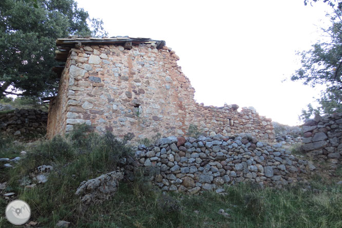 Cap de Boumort (2.077m) des d