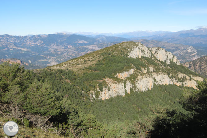 Cap de Boumort (2.077m) des d