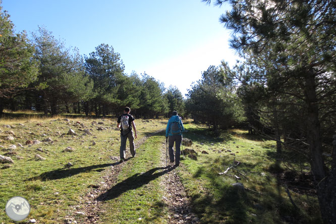 Cap de Boumort (2.077m) des d