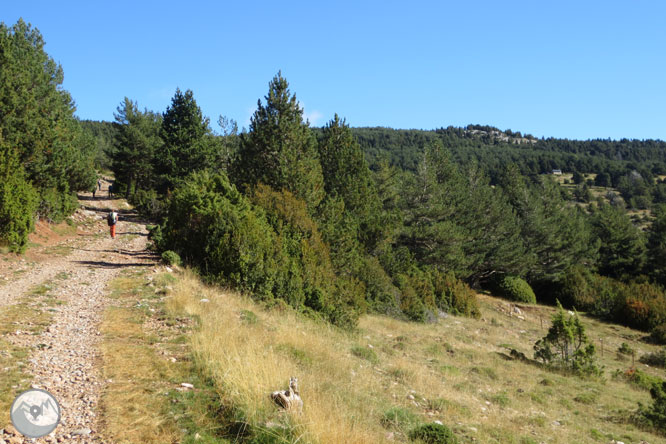 Cap de Boumort (2.077m) des d