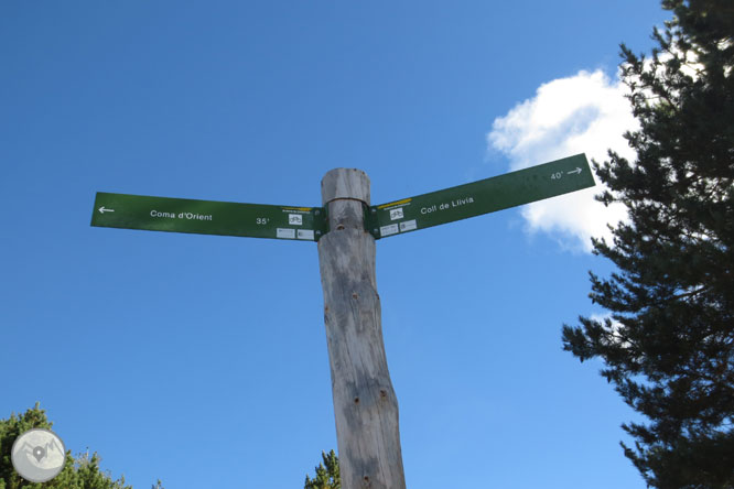 Cap de Boumort (2.077m) des d