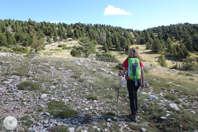 Cap de Boumort (2.077m) des d