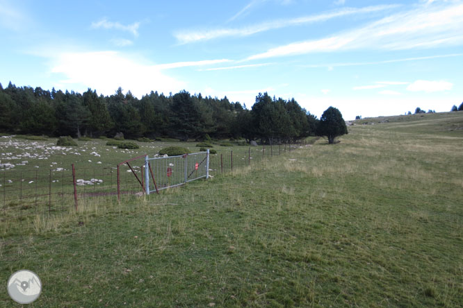 Cap de Boumort (2.077m) des d