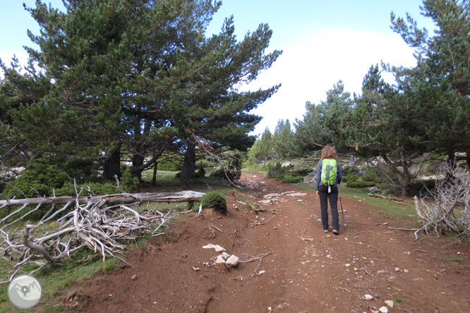 Cap de Boumort (2.077m) des d