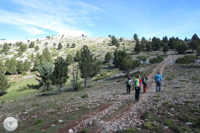 Cap de Boumort (2.077m) des d