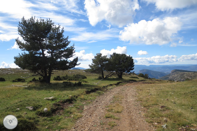 Cap de Boumort (2.077m) des d