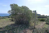 Trencall del mirador del Cap de Norfeu.