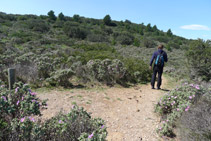 Des de la cabana de pastors, agafem ara el camí de la dreta, que ressegueix el Cap de Norfeu pel seu costat N.