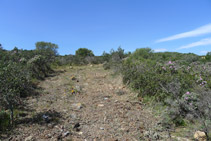 Seguim el camí en lleugera pujada fins a la carena del Cap de Norfeu.