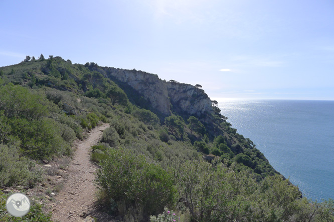 Ruta circular pel Cap de Norfeu 1 