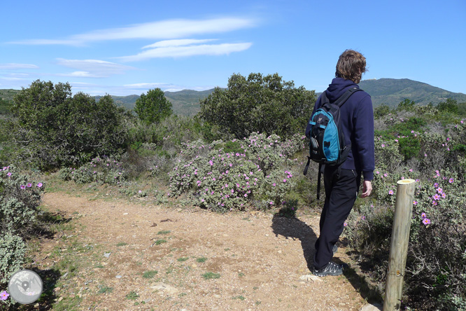 Ruta circular pel Cap de Norfeu 1 