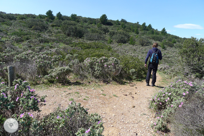 Ruta circular pel Cap de Norfeu 1 