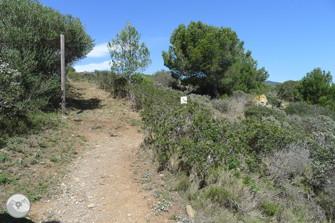 Ruta circular pel Cap de Norfeu 1 