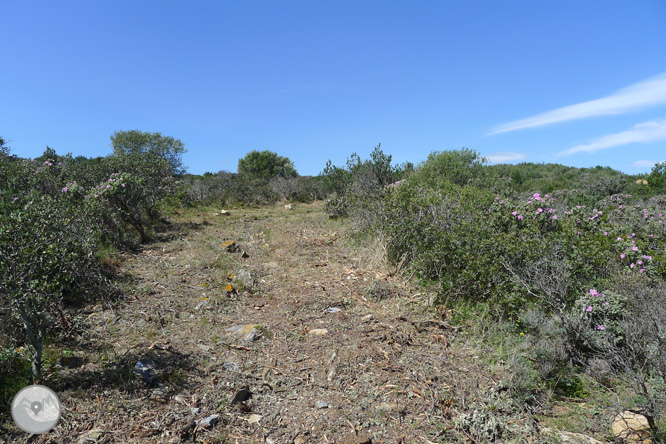 Ruta circular pel Cap de Norfeu 1 