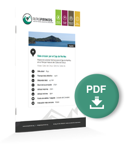 pdf-ruta