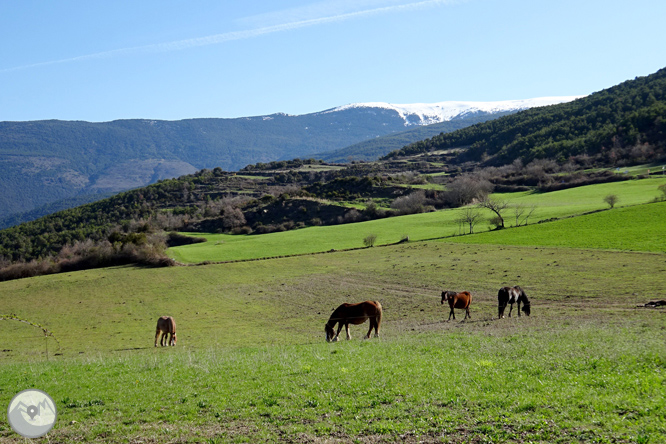 Malmercat i el castell d