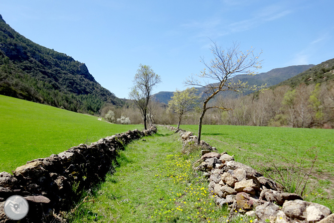 Malmercat i el castell d