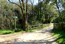 Pont de Sant Miquel.