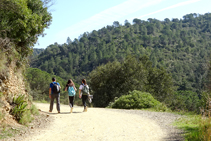 Camí a Sant Miquel.