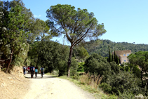 Camí a Can Lliure.