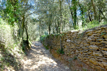 Parets de pedra seca a les Gavarres.