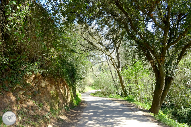 El castell de Sant Miquel des de Girona 1 