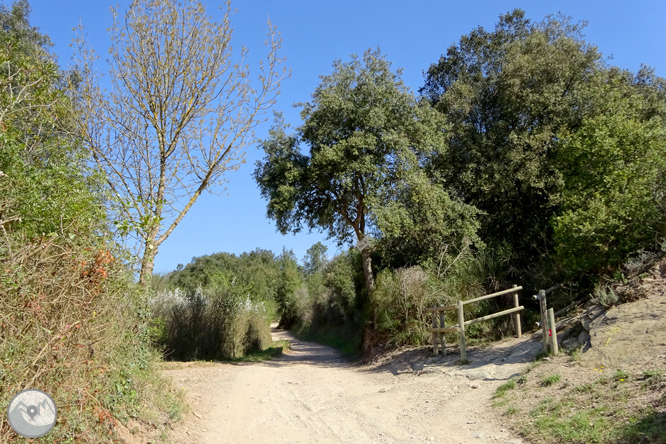 El castell de Sant Miquel des de Girona 1 