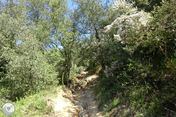 El castell de Sant Miquel des de Girona 1 