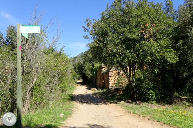 El castell de Sant Miquel des de Girona 1 