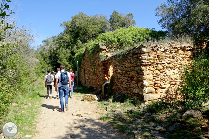 El castell de Sant Miquel des de Girona 1 