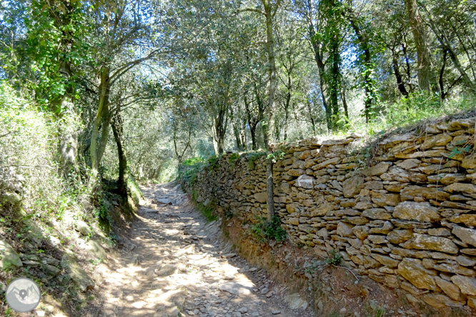 El castell de Sant Miquel des de Girona 1 