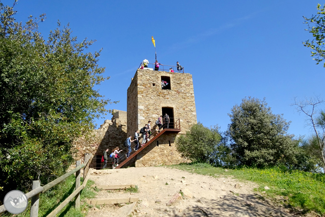 El castell de Sant Miquel des de Girona 1 