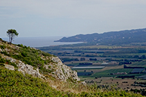 Vistes a la plana al·luvial del Ter i la muntanya de Begur des del coll d´en Garrigars.