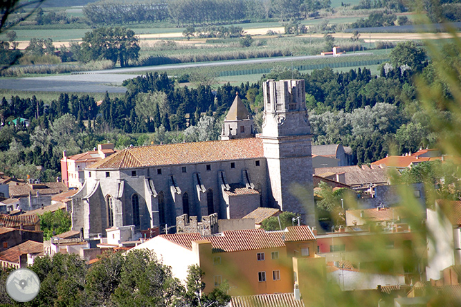 Castell del Montgrí i zona d