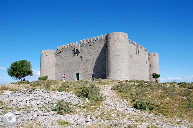 Castell del Montgrí i zona d