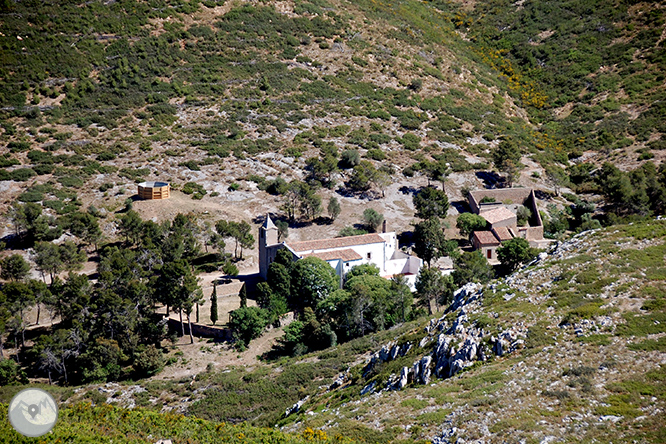 Castell del Montgrí i zona d