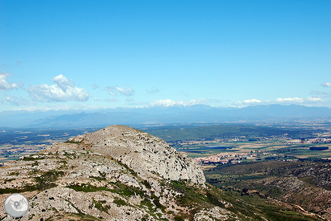 Castell del Montgrí i zona d
