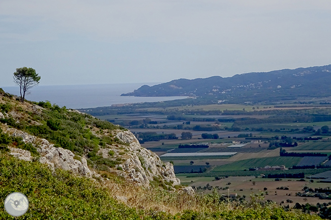 Castell del Montgrí i zona d