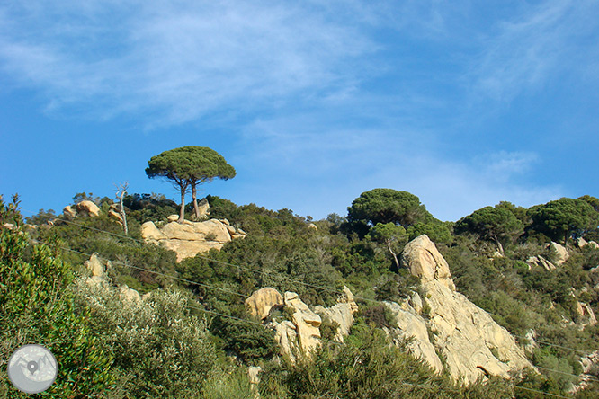 El castell de Burriac i el Camí de les Fonts des d’Argentona 1 