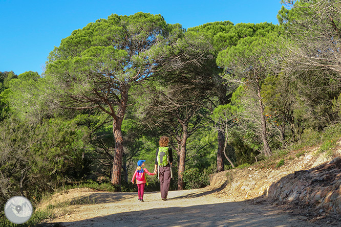 El castell de Burriac i el Camí de les Fonts des d’Argentona 1 