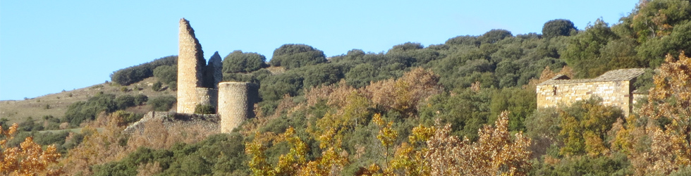 Castell de Sant Gervàs