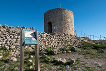 Torre circular en bon estat -el Molí del Rector-. 