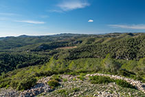 Vistes panoràmiques des de la torre. 