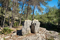 Barret del Rector, formació curiosa de roca calcària.