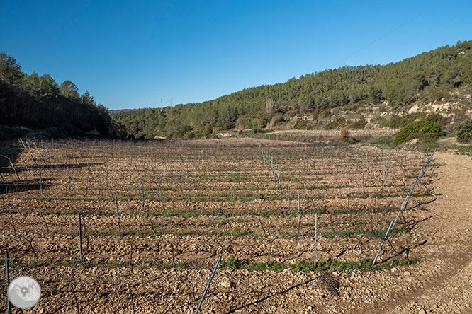 Camí del Castell Vell d