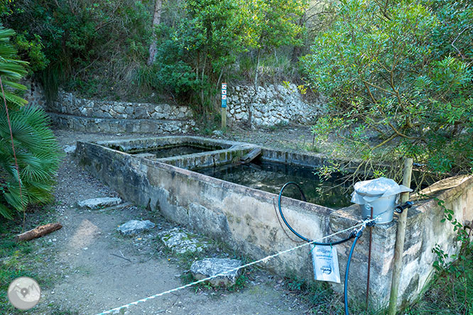 Camí del Castell Vell d