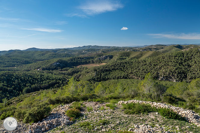 Camí del Castell Vell d